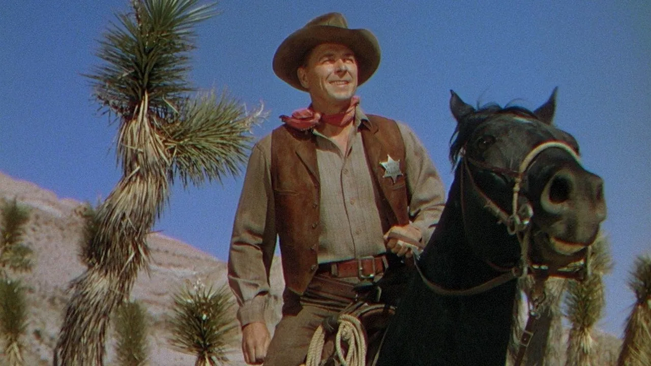 Law and Order - Cover