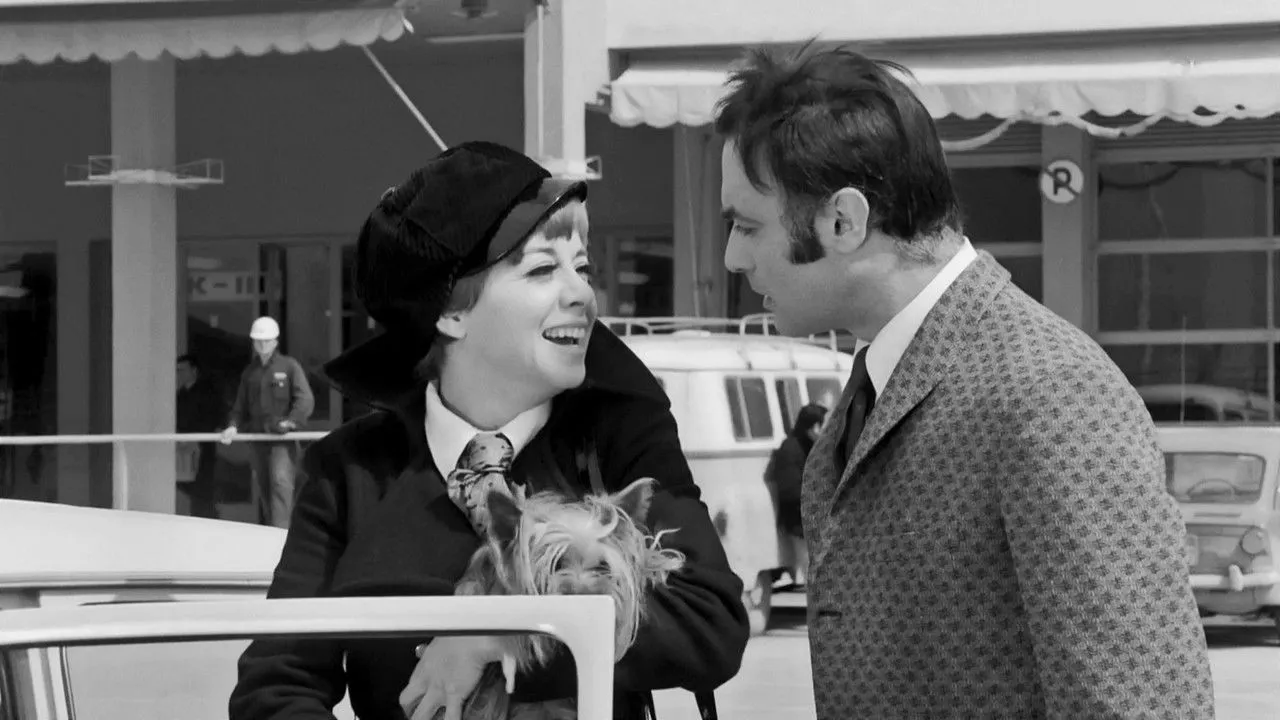 Ένας Τρελλός Γλεντζές - Cover