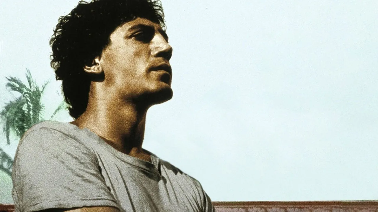 Before Night Falls - Cover