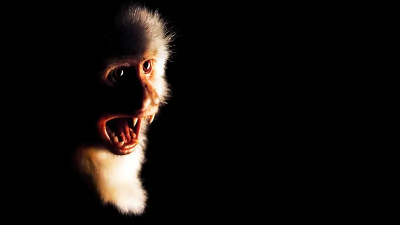 Το Ξέσπασμα - Cover