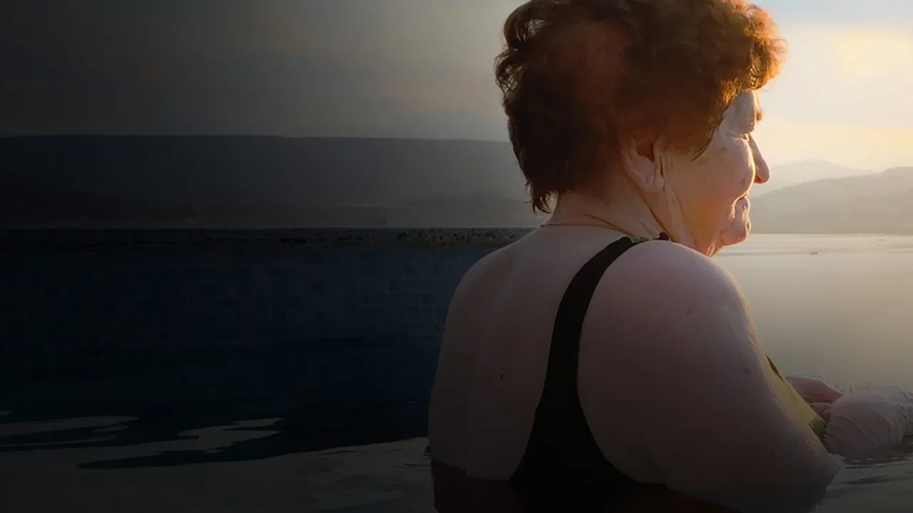 The Godmother - Cover