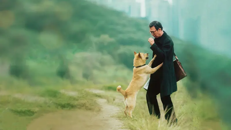 忠犬八公 - Cover