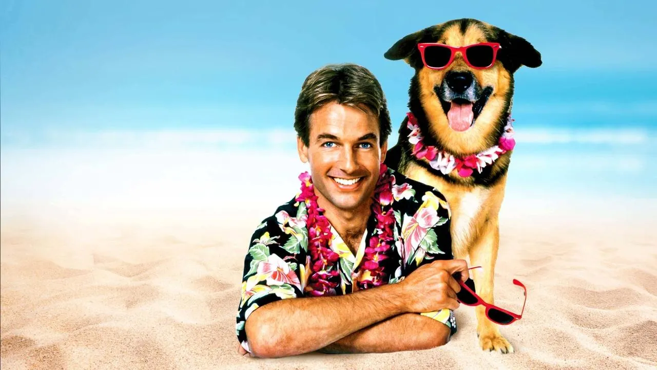 Ένα Καυτό Καλοκαίρι - Cover