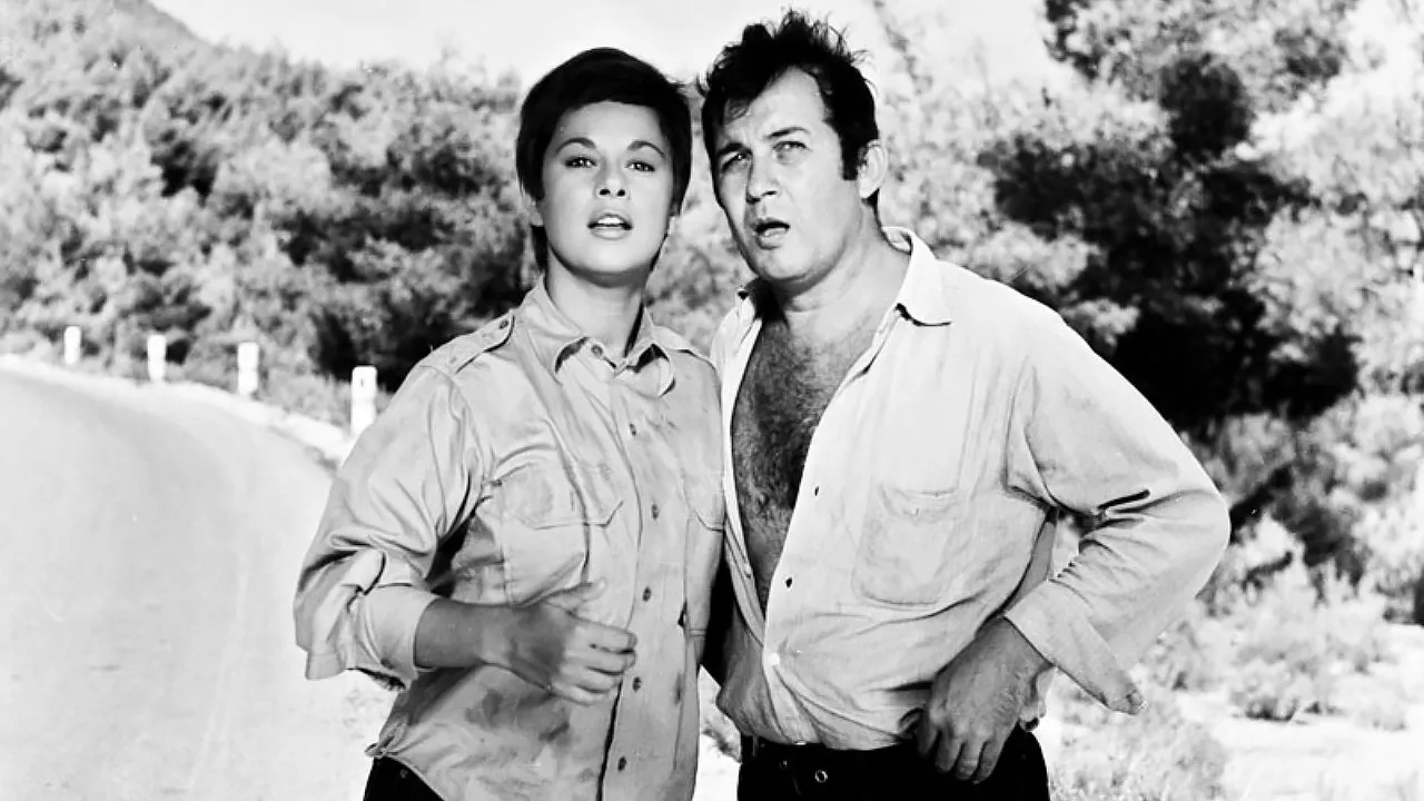 Η Αρχόντισσα κι ο Αλήτης - Cover