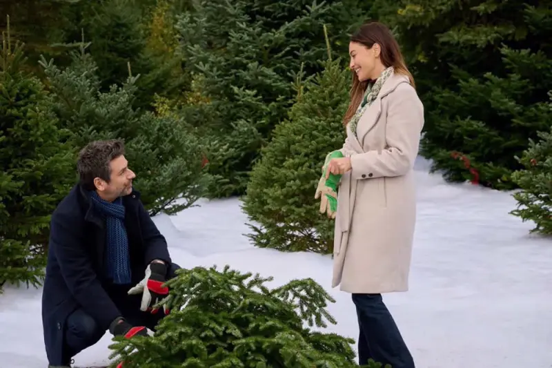 A Dance in the Snow - Cover