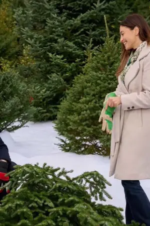 A Dance in the Snow - Poster