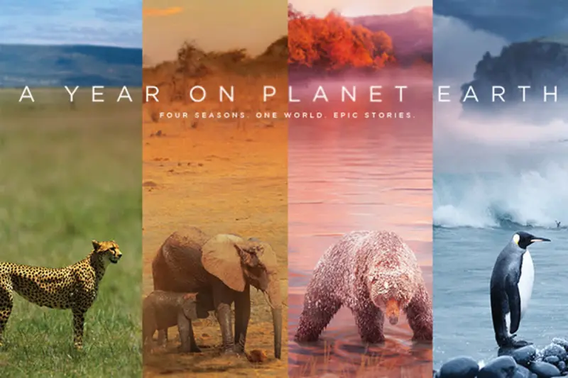 A Year on Planet Earth - Cover