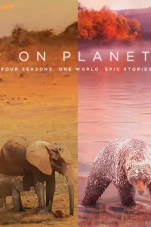 A Year on Planet Earth - Poster