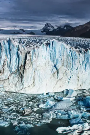 Άγρια Αργεντινή - Poster