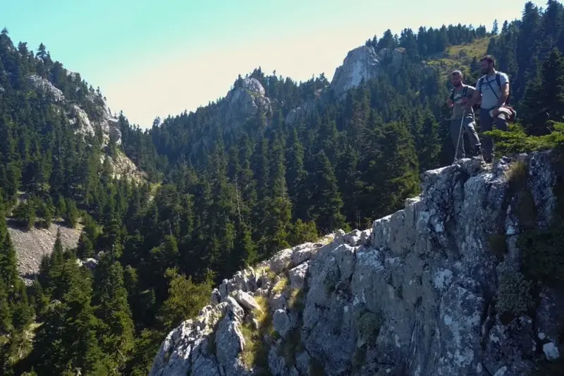 Άγρια Ελλάδα - Cover