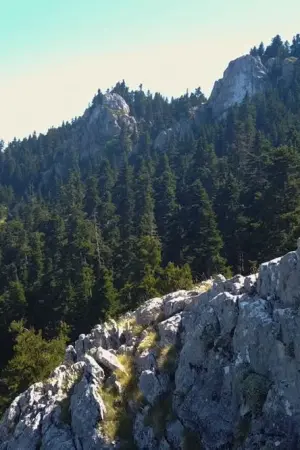 Άγρια Ελλάδα - Poster