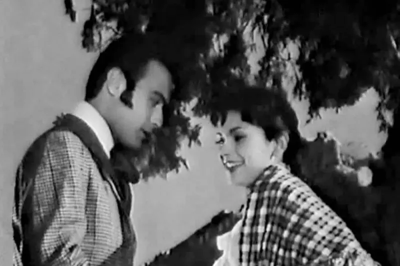 Ανθισμένη Αμυγδαλιά - Cover