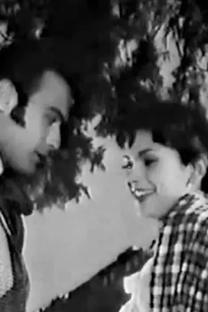 Ανθισμένη Αμυγδαλιά - Poster