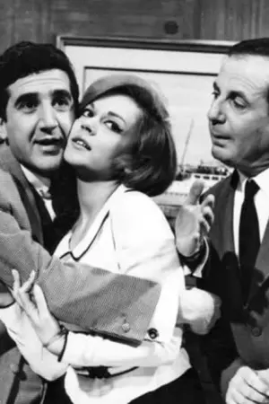 Άνθρωπος για Όλες τις Δουλειές - Poster