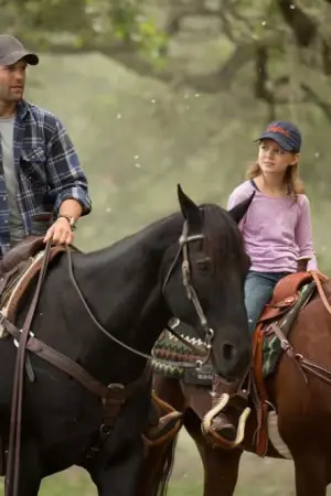 Απρόσκλητος Επισκέπτης - Poster