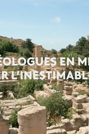 Αρχαιολόγοι Ενάντια στην Αρχαιοκαπηλία - Poster