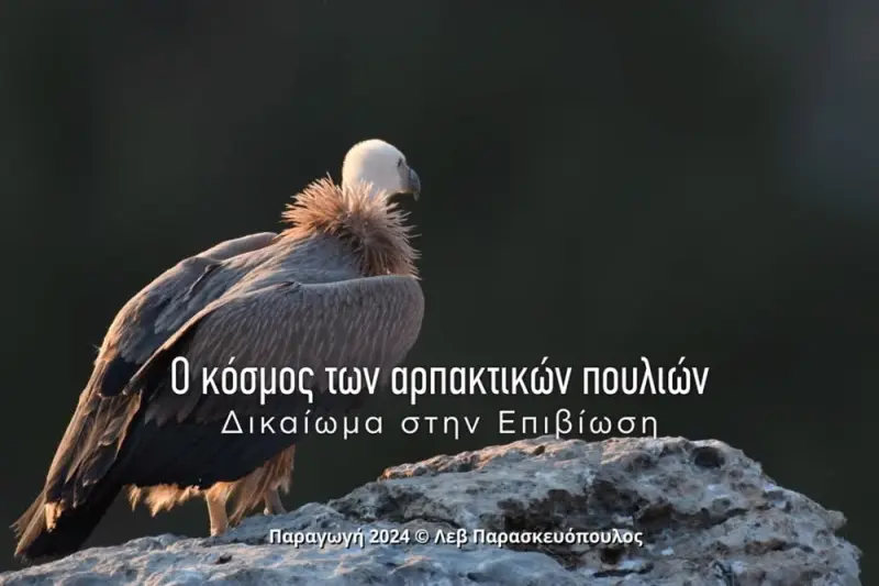 Αρπακτικά Πουλιά - Δικαίωμα στην Επιβίωση - Cover