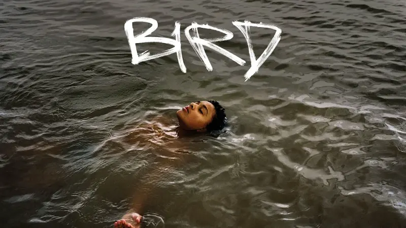Bird - Cover