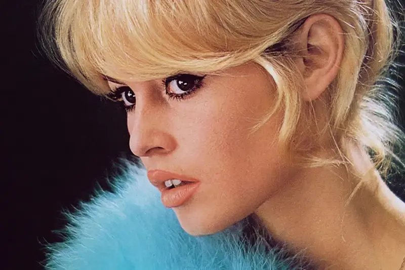 Brigitte vs Bardot - Cover