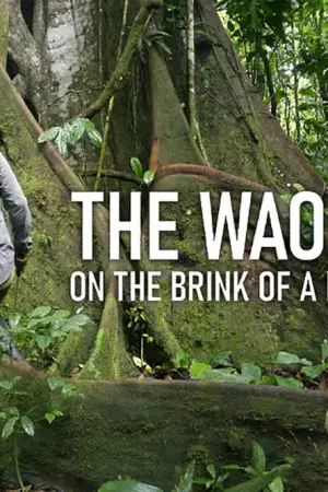 Χουαοράνι: Οι Τελευταίοι του Αμαζονίου - Poster