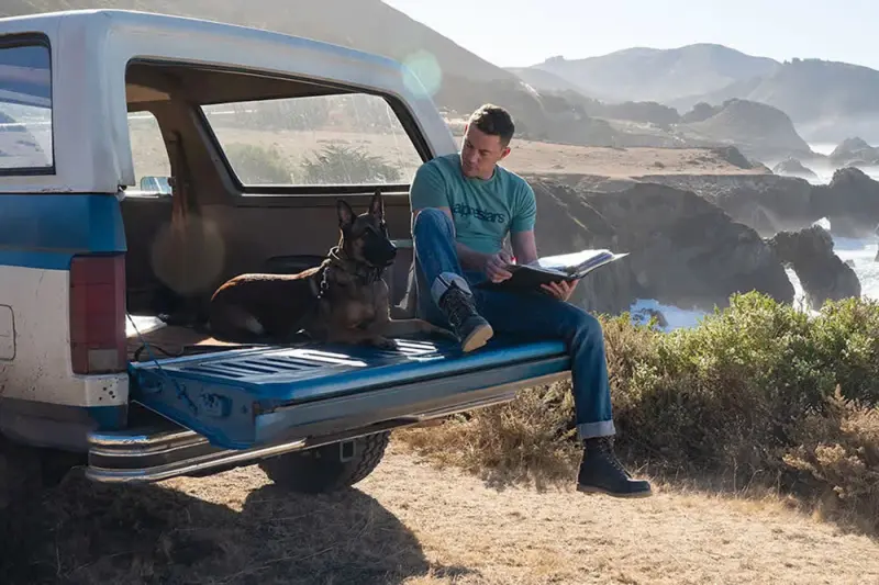 Dog, Ένας Μεγάλος Μπελάς - Cover