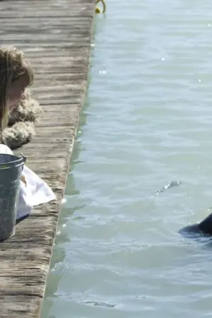 Ελευθερώστε τον Γουίλι: Απόδραση από τον Όρμο του Πειρατή - Poster