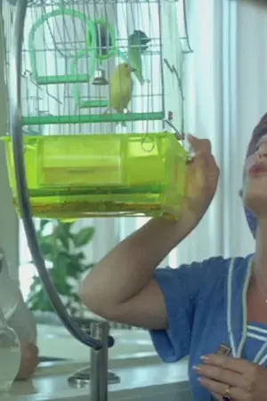 Ένα Γελαστό Απόγευμα - Poster