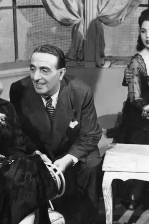 Ένα Βότσαλο στη Λίμνη - Poster