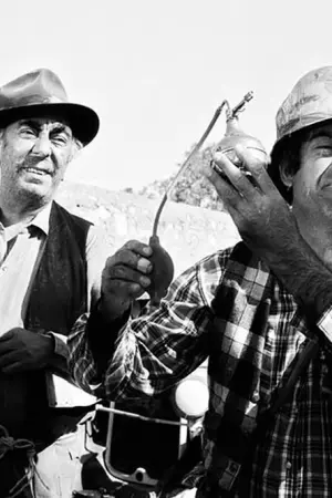 Ένας Ξένοιαστος Παλαβιάρης - Poster