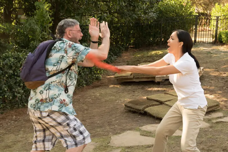 Επικίνδυνος Θαυμαστής - Cover