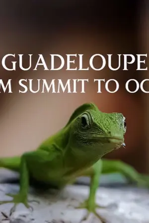 Γουαδελούπη, από τις Κορυφές Ως τον Ωκεανό - Poster