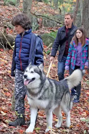 Hero Dog: The Journey Home - Poster