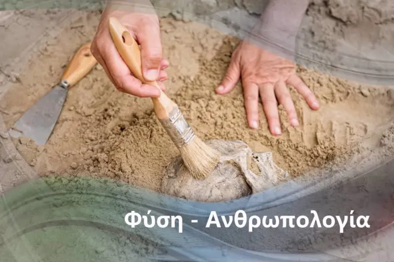 Η Κουλτούρα των Ζώων - Cover