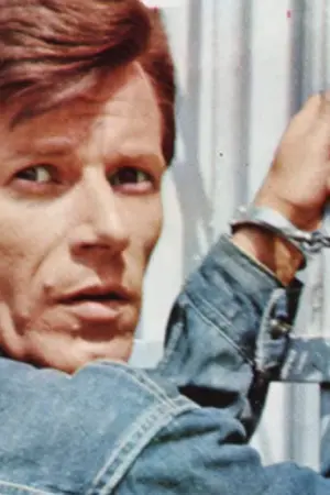 Η Οργή του Αδικημένου - Poster