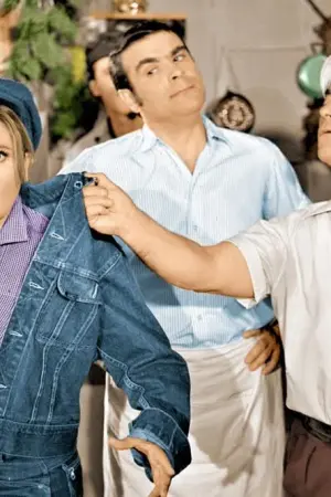 Η Ταξιτζού - Poster