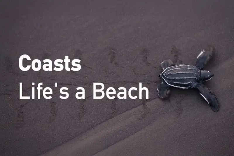 Η Ζωή Είναι μια Παραλία - Cover