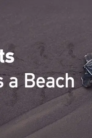 Η Ζωή Είναι μια Παραλία - Poster