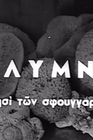 Κάλυμνος - Το Νησί των Σφουγγαράδων - Poster