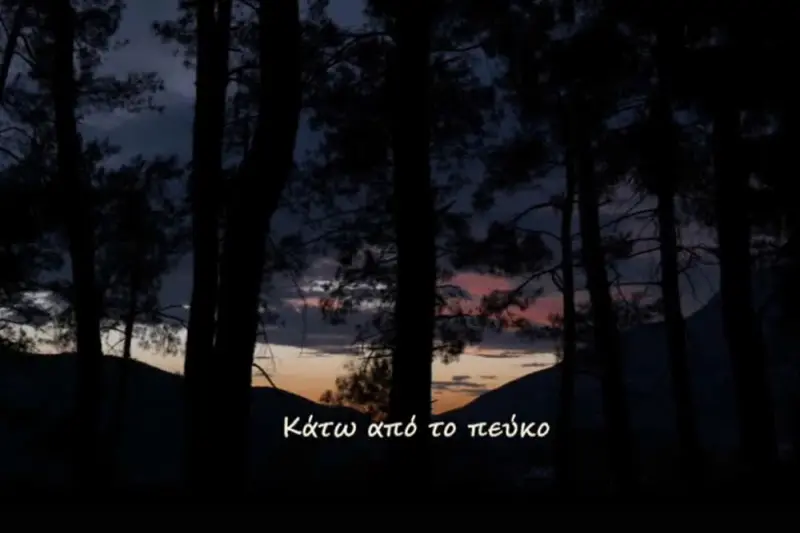 Κάτω από το Πεύκο - Cover