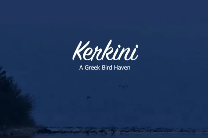 Κερκίνη - Το Καταφύγιο των Πτηνών - Cover