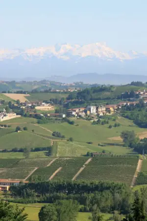 Κρυφή Ιταλία: Το Μονφεράτο και οι Παλαιολόγοι - Poster