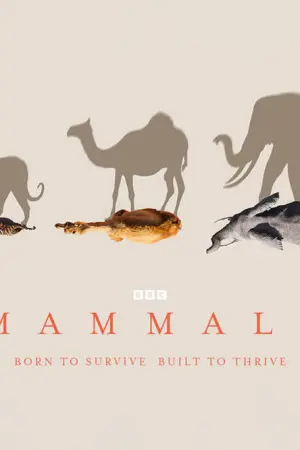 Mammals - Poster