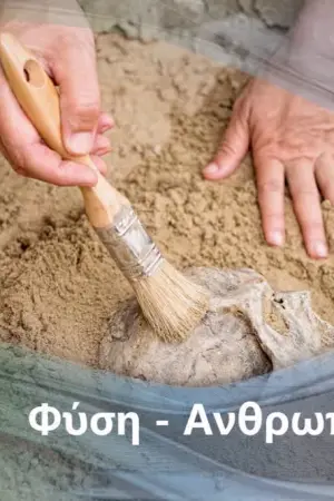 Μιλώντας με τα Δελφίνια - Poster