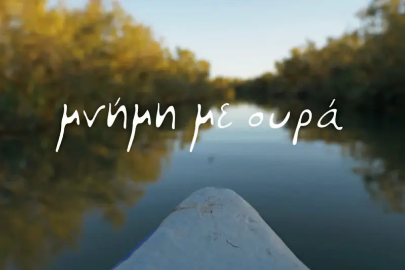Μνήμη με Ουρά - Cover