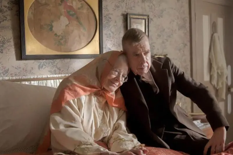 Mrs Lowry & Son - Cover