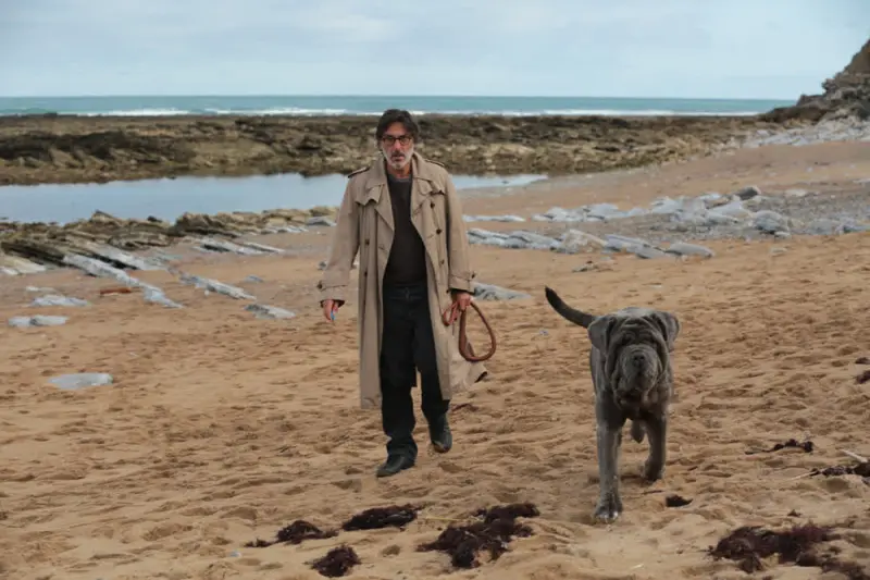 My Dog Stupid - Cover