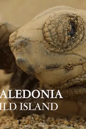 Νέα Καληδονία, ένα Άγριο Νησί - Poster