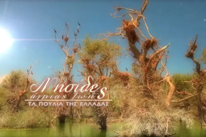 Νησίδες Άγριας Ζωής - Cover