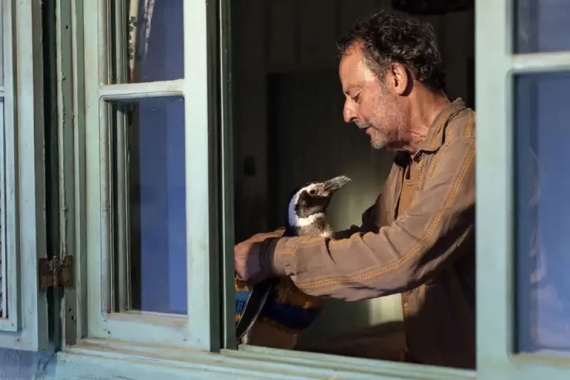 Ο Φίλος μου ο Πιγκουίνος - Cover