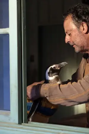 Ο Φίλος μου ο Πιγκουίνος - Poster